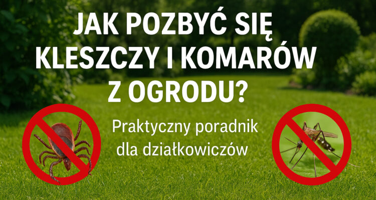 Jak pozbyć się kleszczy i komarów z ogrodu? Praktyczny poradnik dla działkowiczów